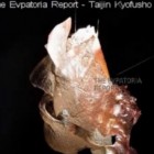 The Evpatoria Report – Taijin Kyofusho